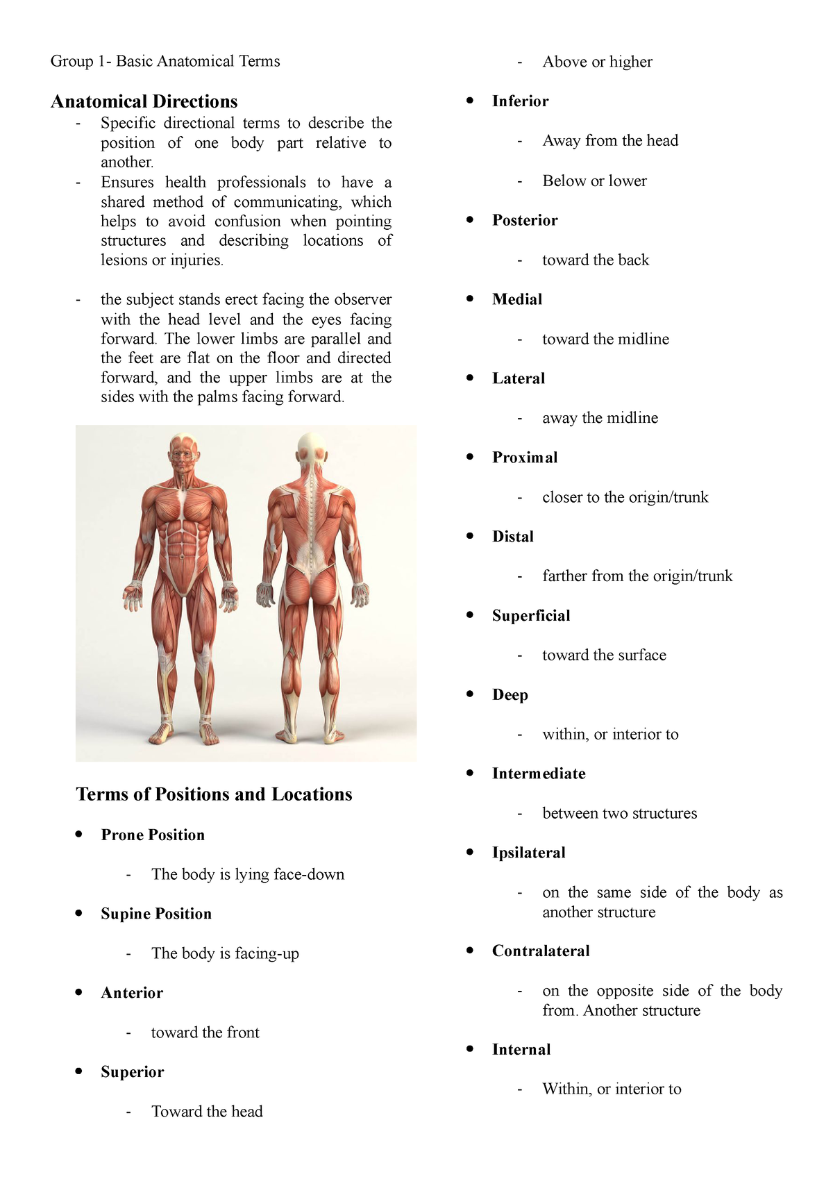 basic-anatomical-terms-group-1-basic-anatomical-terms-anatomical