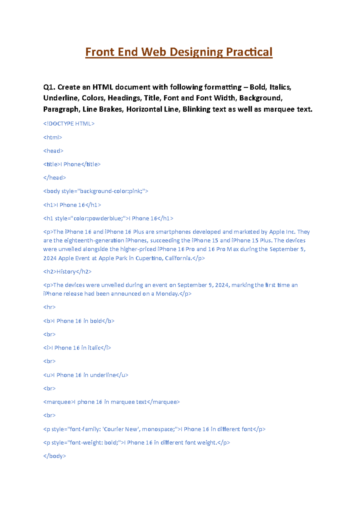 Front End Web Designing Practical - Create an HTML document with ...