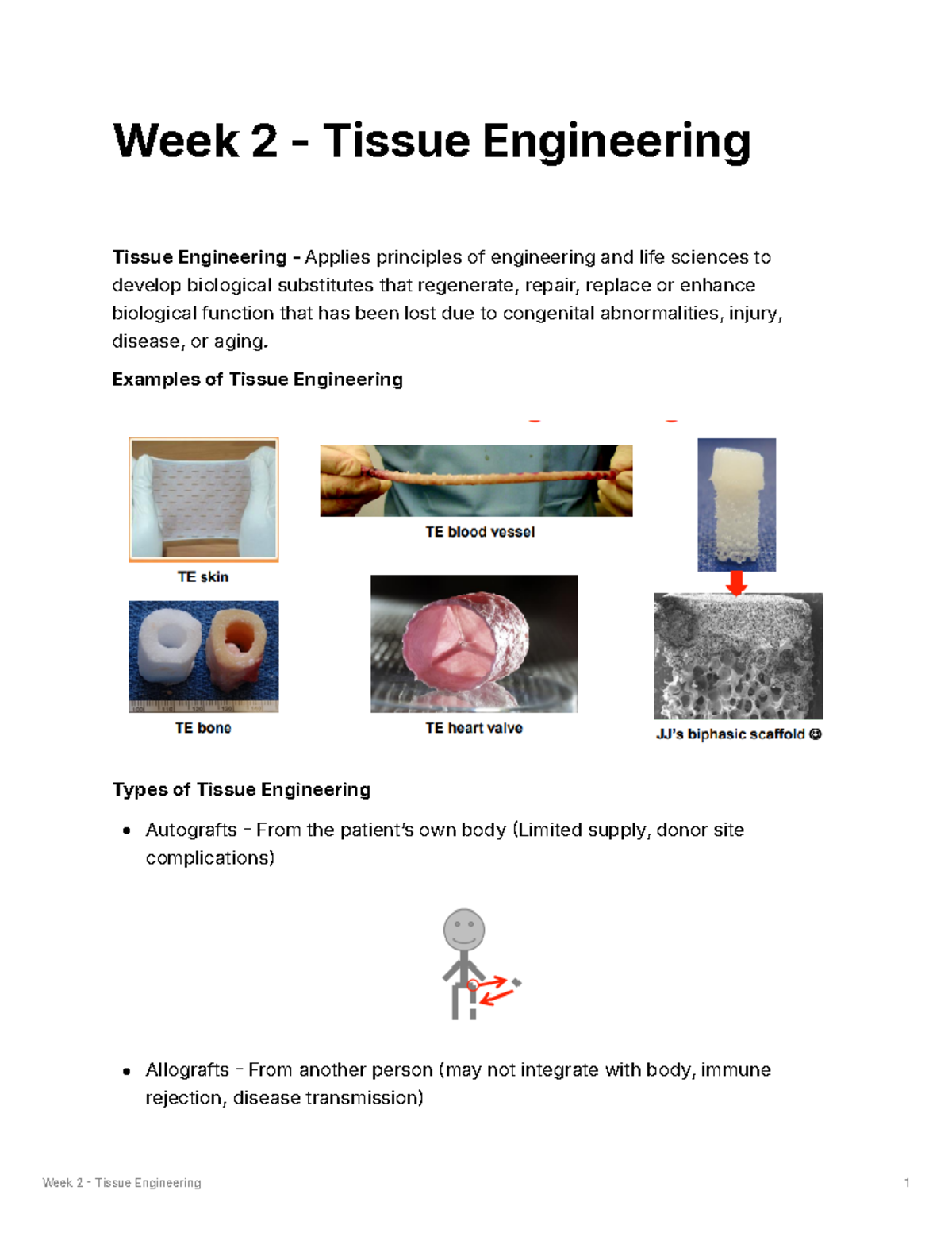Week 2 - Tissue Engineering - Week 2 - Tissue Engineering Tissue ...
