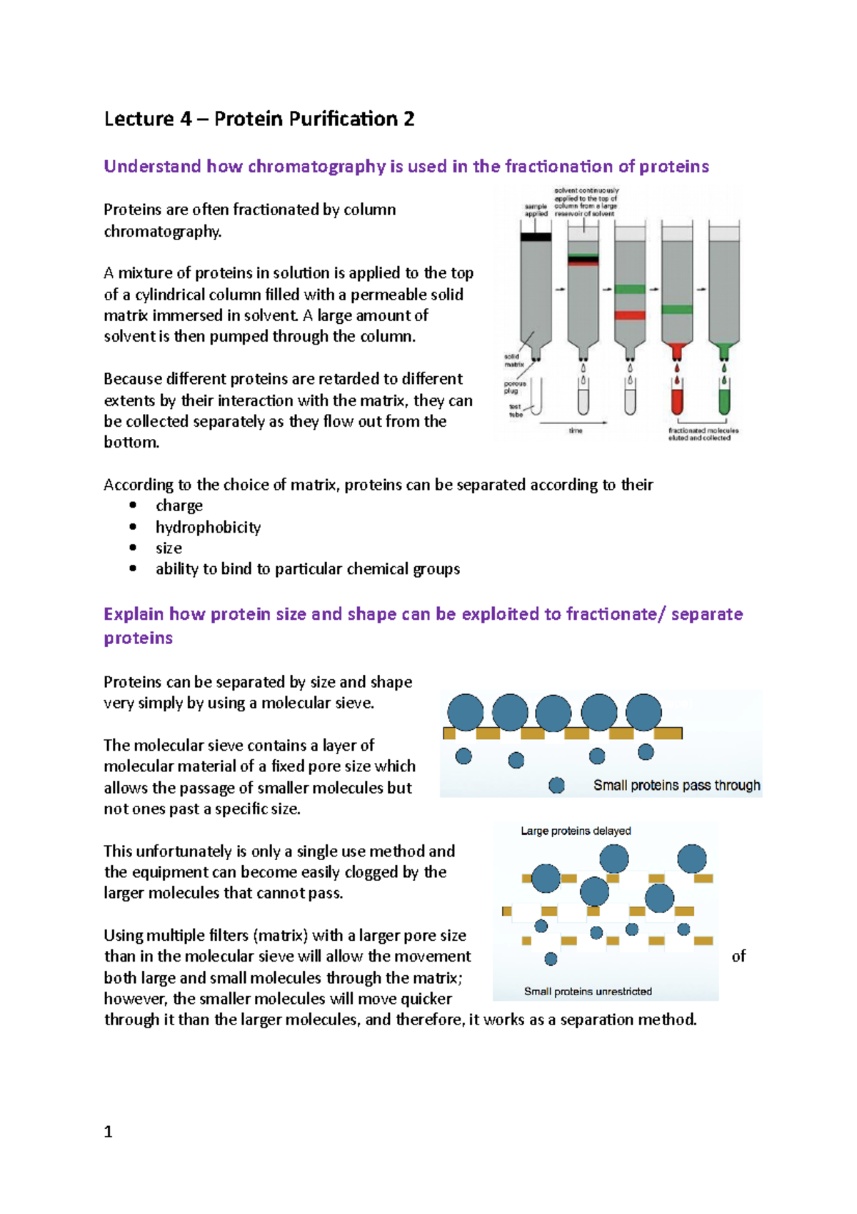 Lecture 4 - Protein Purification 2 - Lecture 4 – Protein Purification 2 ...