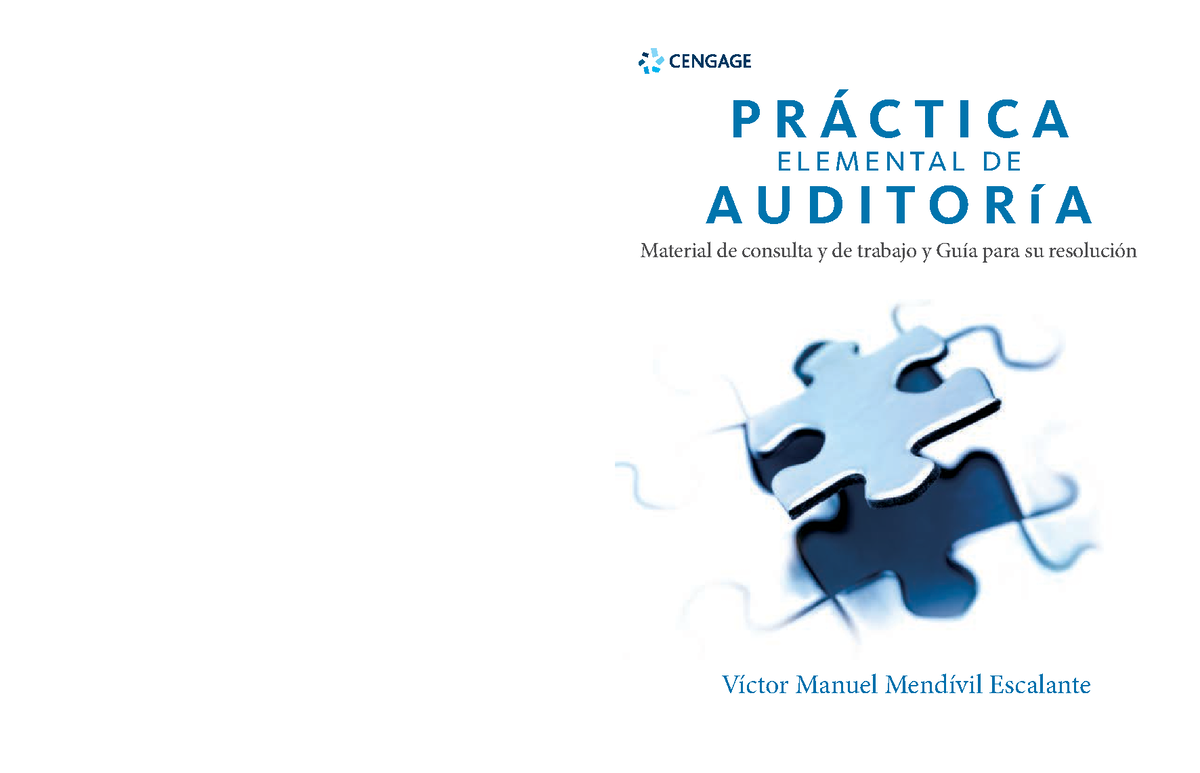 Mendivil Issuu - AUDITORIA TOTAL - Víctor Manuel Mendívil Escalante