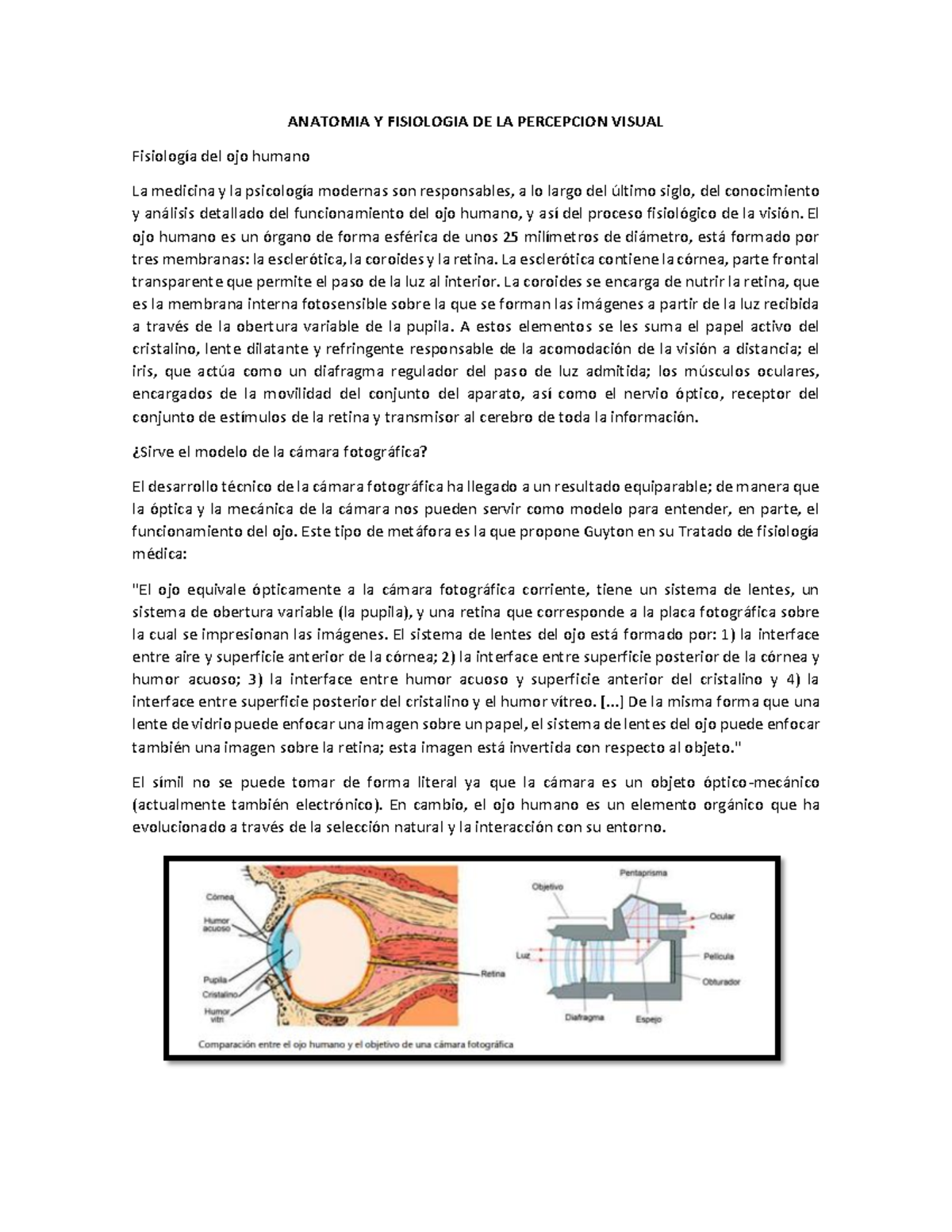 Anatomia Y Fisiologia DE LA Percepcion Visual LIDERAZGO Tec de