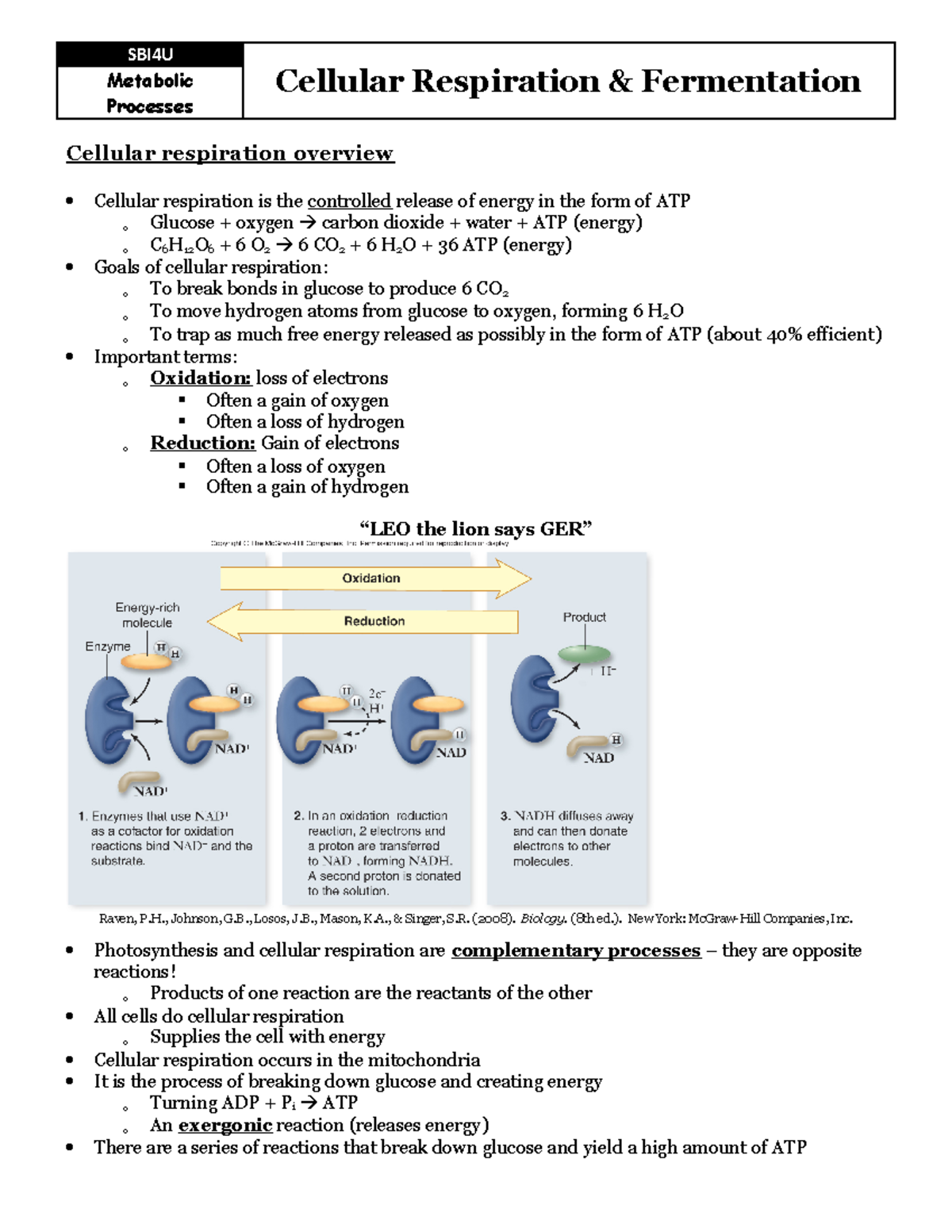 Sbi4u cellular respiration notes SBI4U Metabolic Cellular
