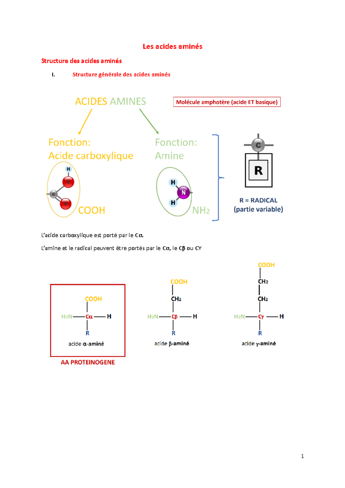Biochimie Les acides aminés Les acides aminés Structure des acides aminés I. Structure