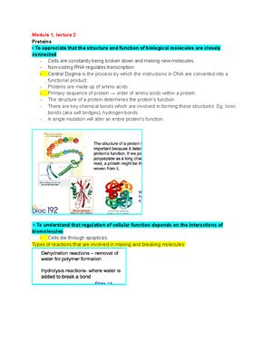 Bioc LAB notes and summary - BIOC LAB Lab 1: Units, pipetting ...