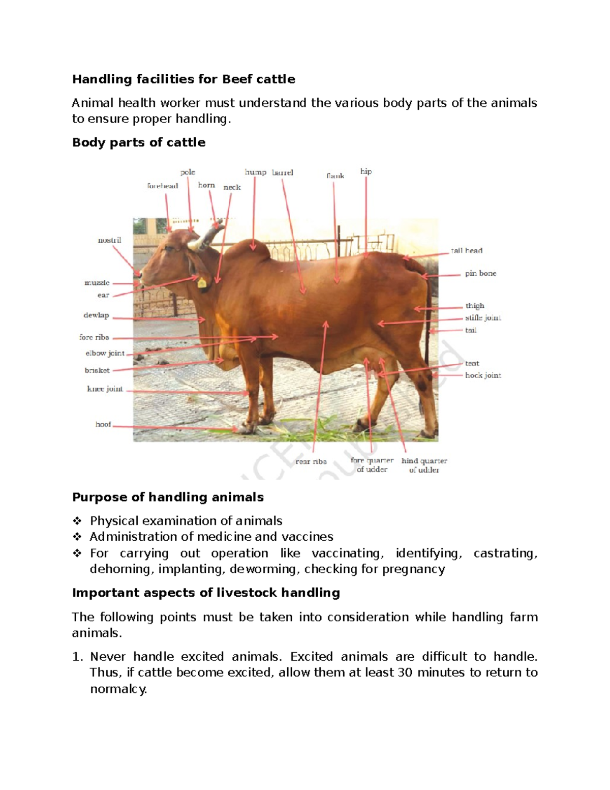 Handling AND Restraining FARM Animals Handling facilities for Beef