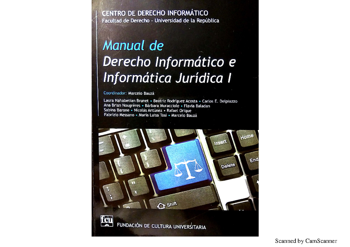 Manual de Derecho Informático e Informática Juridica 1 - Derecho