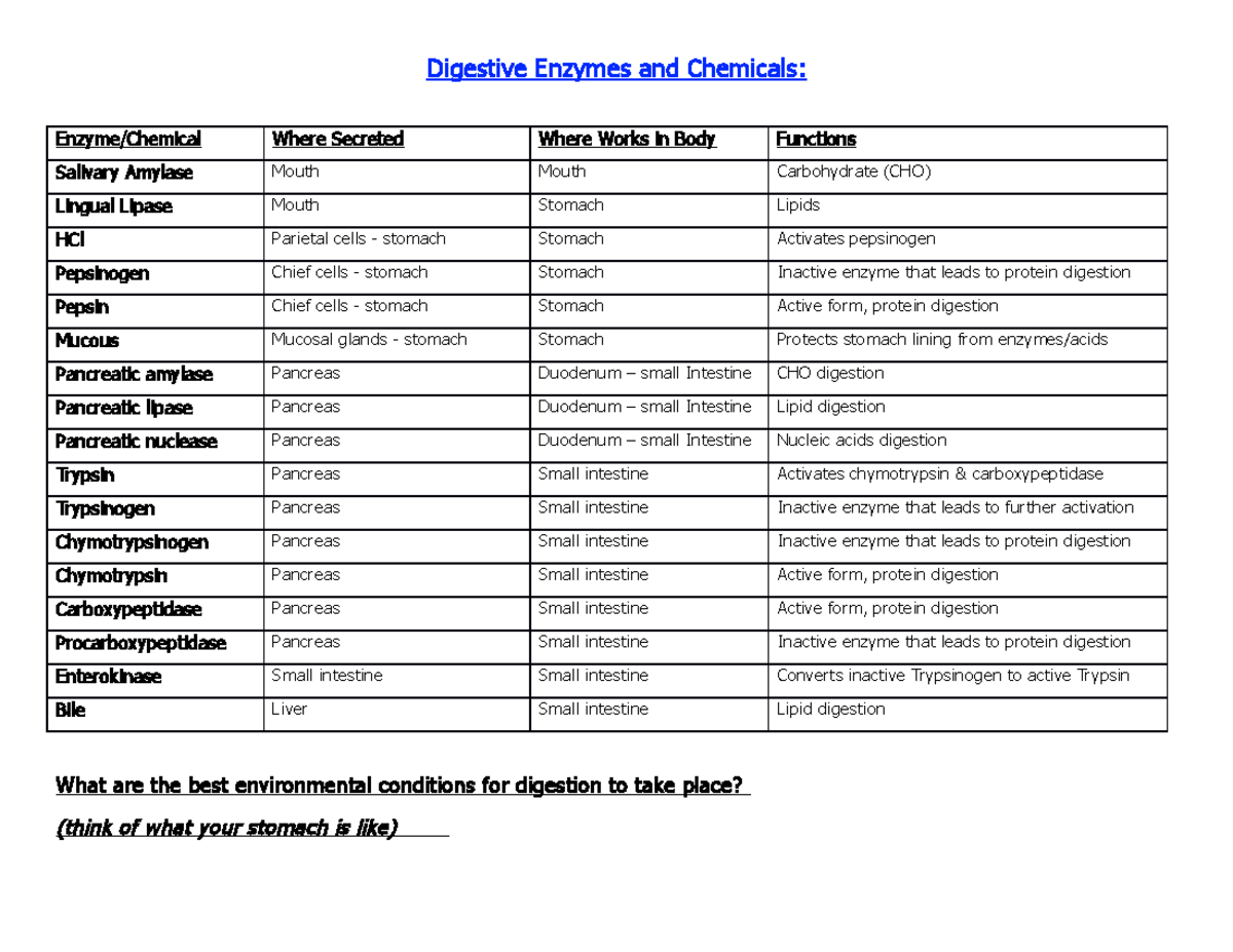 Digestive Enzymes and Chemicals Digestive Enzymes and Chemicals