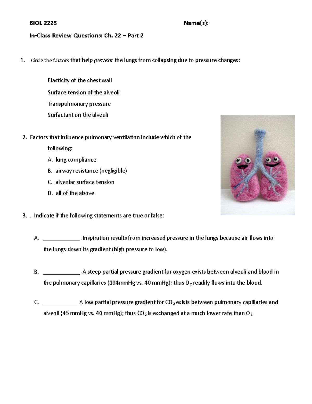 Respiratory System RQ 22 Part 2 - BIOL 2225 Name(s): In-Class Review ...