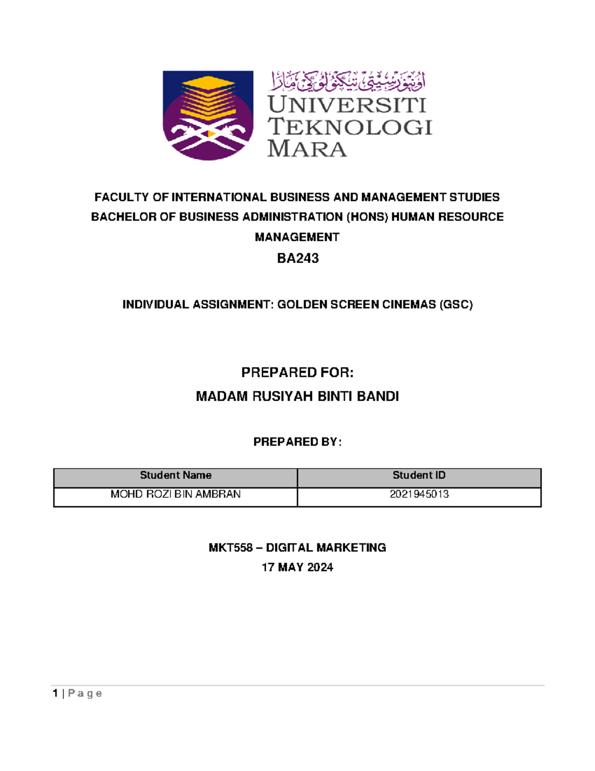 Individual Assignment MKT558 Digital Marketing - MOHD ROZI Ambran ...