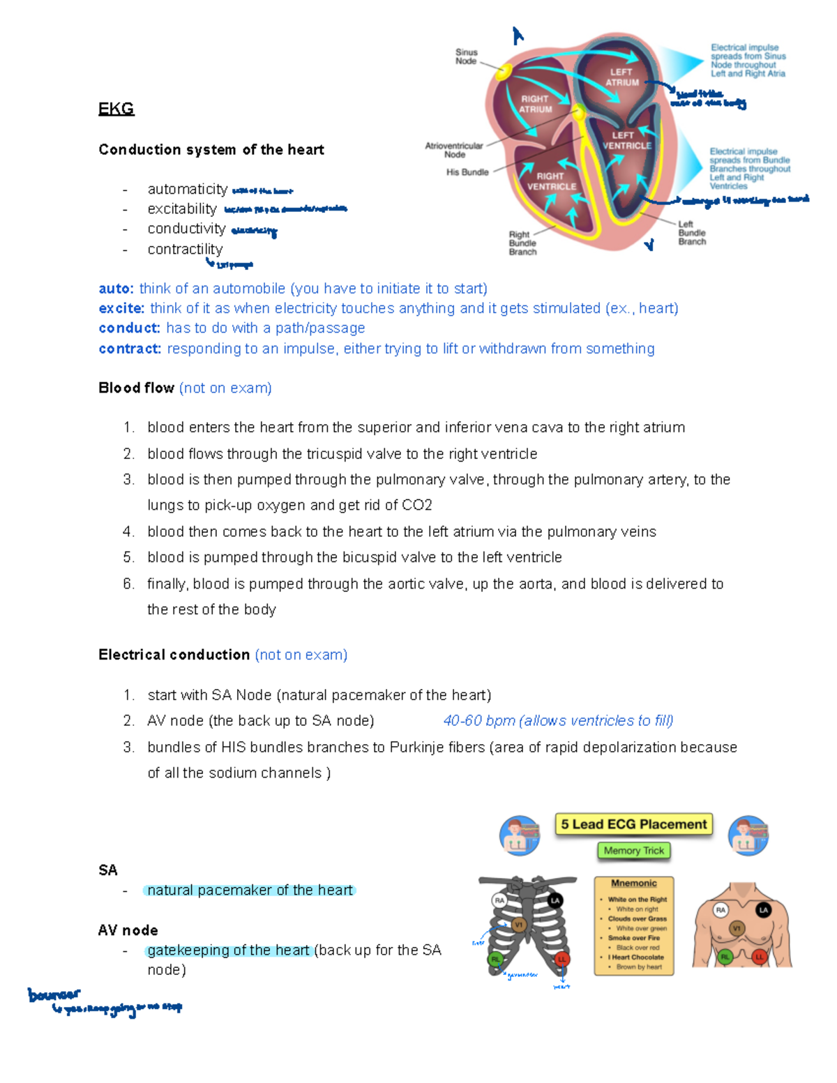 EKG - Exam #1 Cardiac - ####### EKG Conduction system of the heart ...