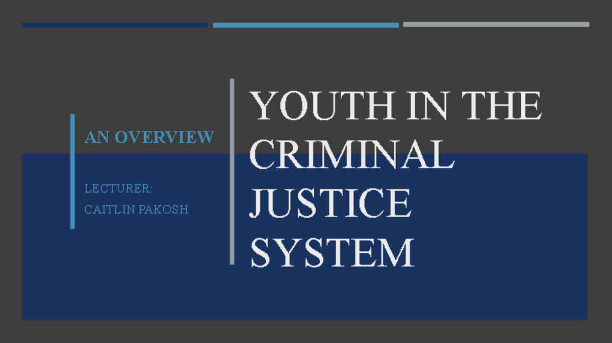 Lecture-8 Youth-in-the-Criminal-Justice-System - YOUTH IN THE CRIMINAL ...