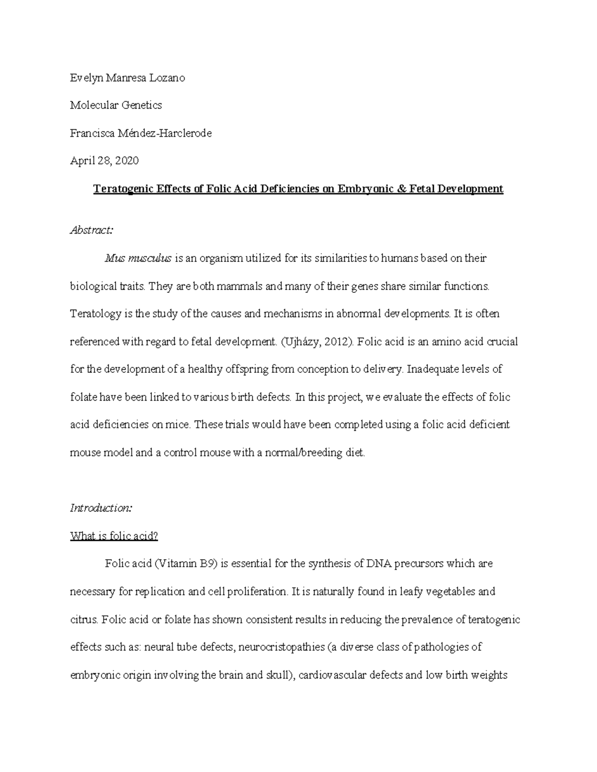 Effects of Folic Acid on Embryonic and Fetal Development - Evelyn ...