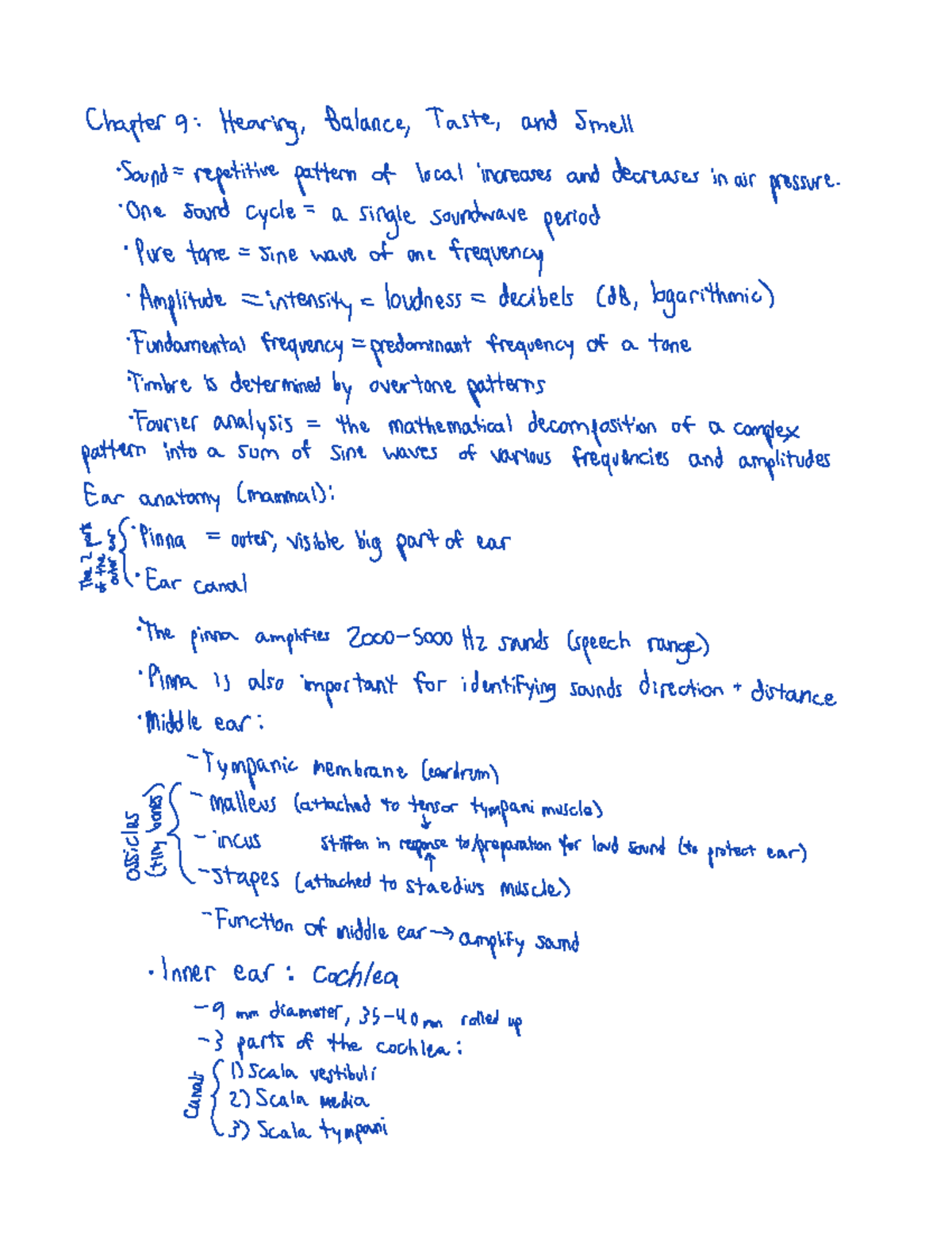 Psych 321 chapter 9 notes - Chapter9 Hearing Balance Taste and Smell ...