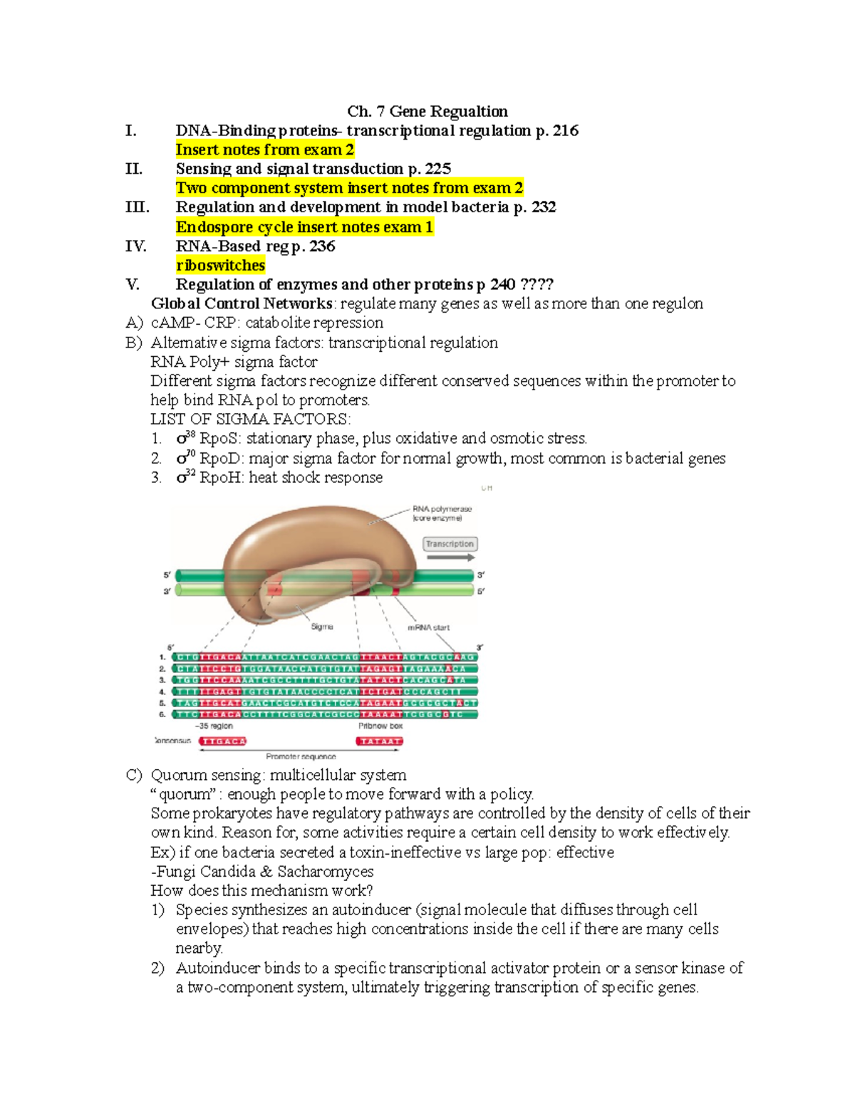Microbio EXAM 3 - Notes for exam 3 A quality notes (I got an A in my ...