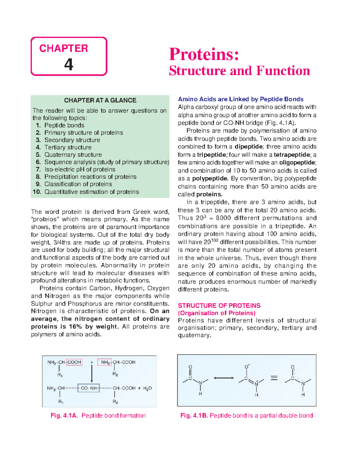 Proteins structure and function CHAPTER AT A GLANCE The reader will