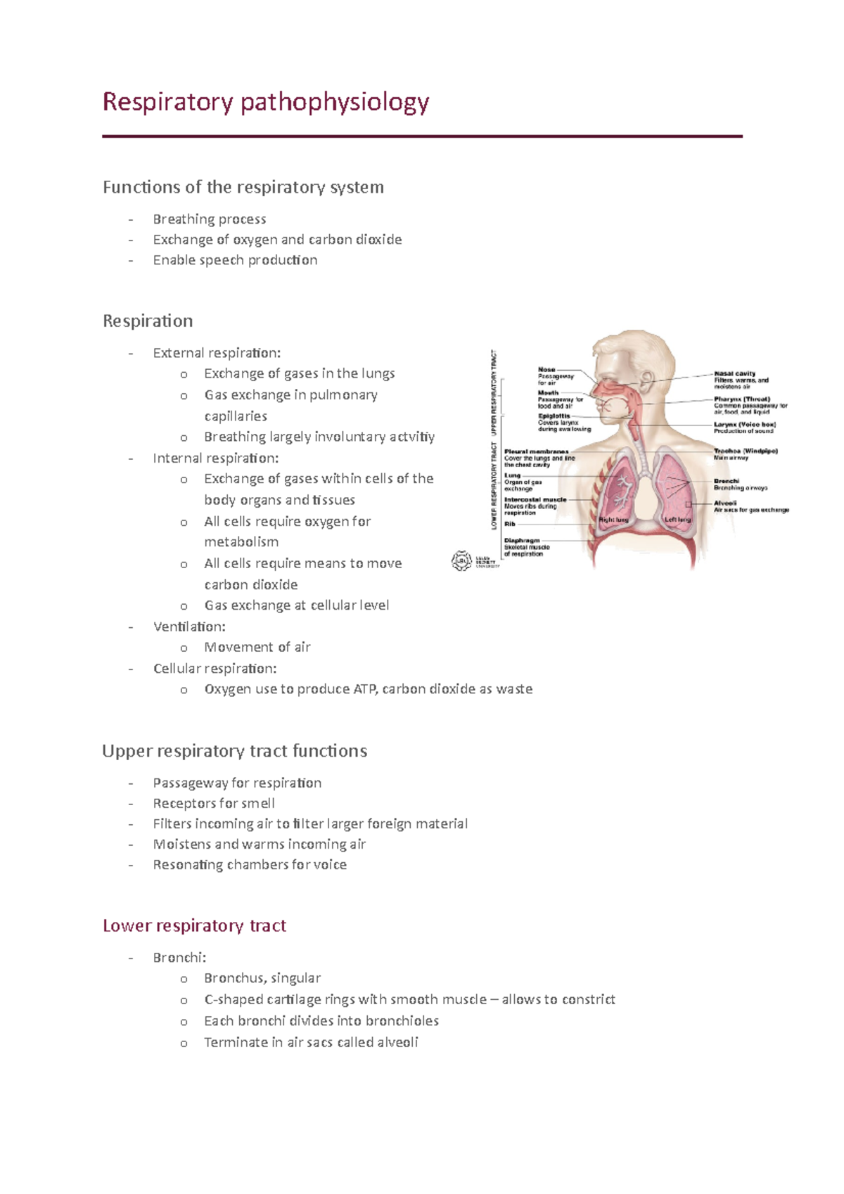 Respiratory pathophysiology - Respiratory pathophysiology Functions of ...