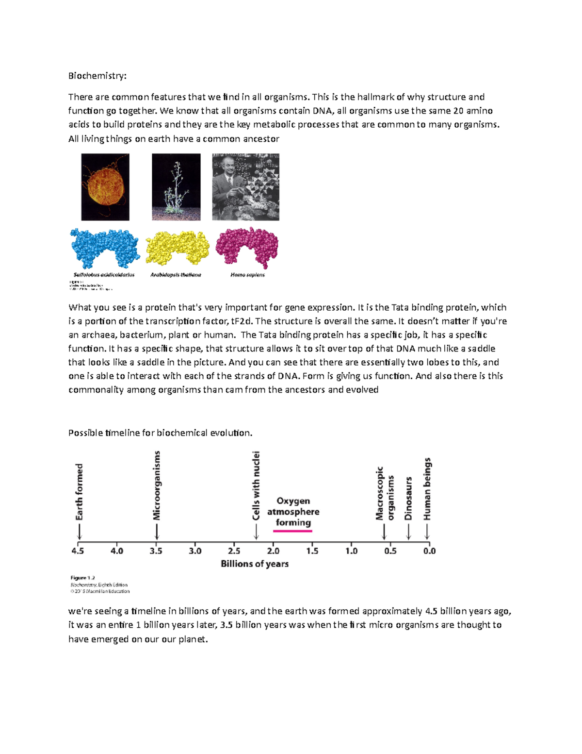 Biochemistry Lecture 1 Chapter 1 Entire Lecture - BCH 4033 - UNF - Studocu