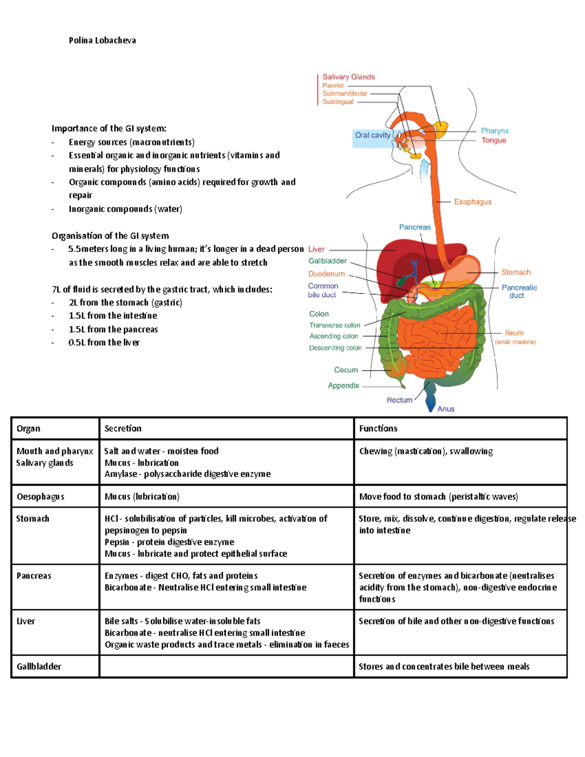 Gastrointestinal system - Importance of the GI system: Energy sources ...