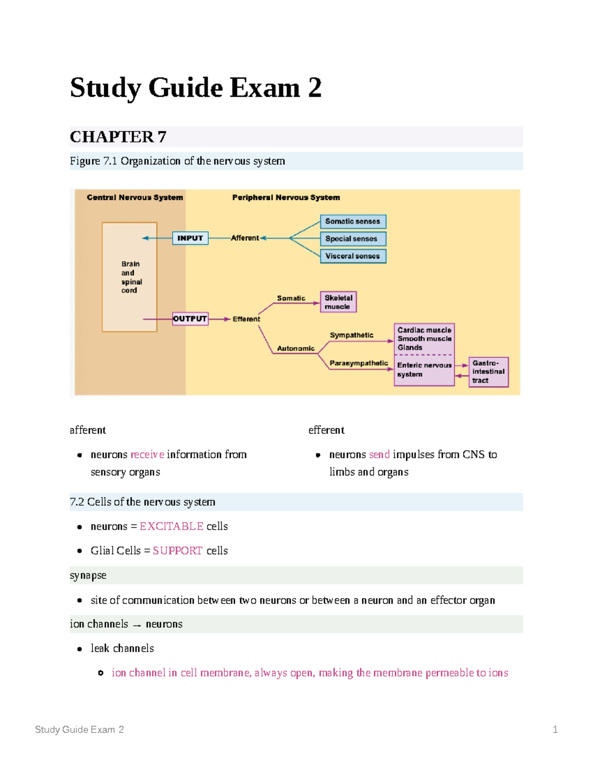 Study Guide Exam 2 - Chapters 7, 8, 9, 10, 11 - Study Guide Exam 2 ...