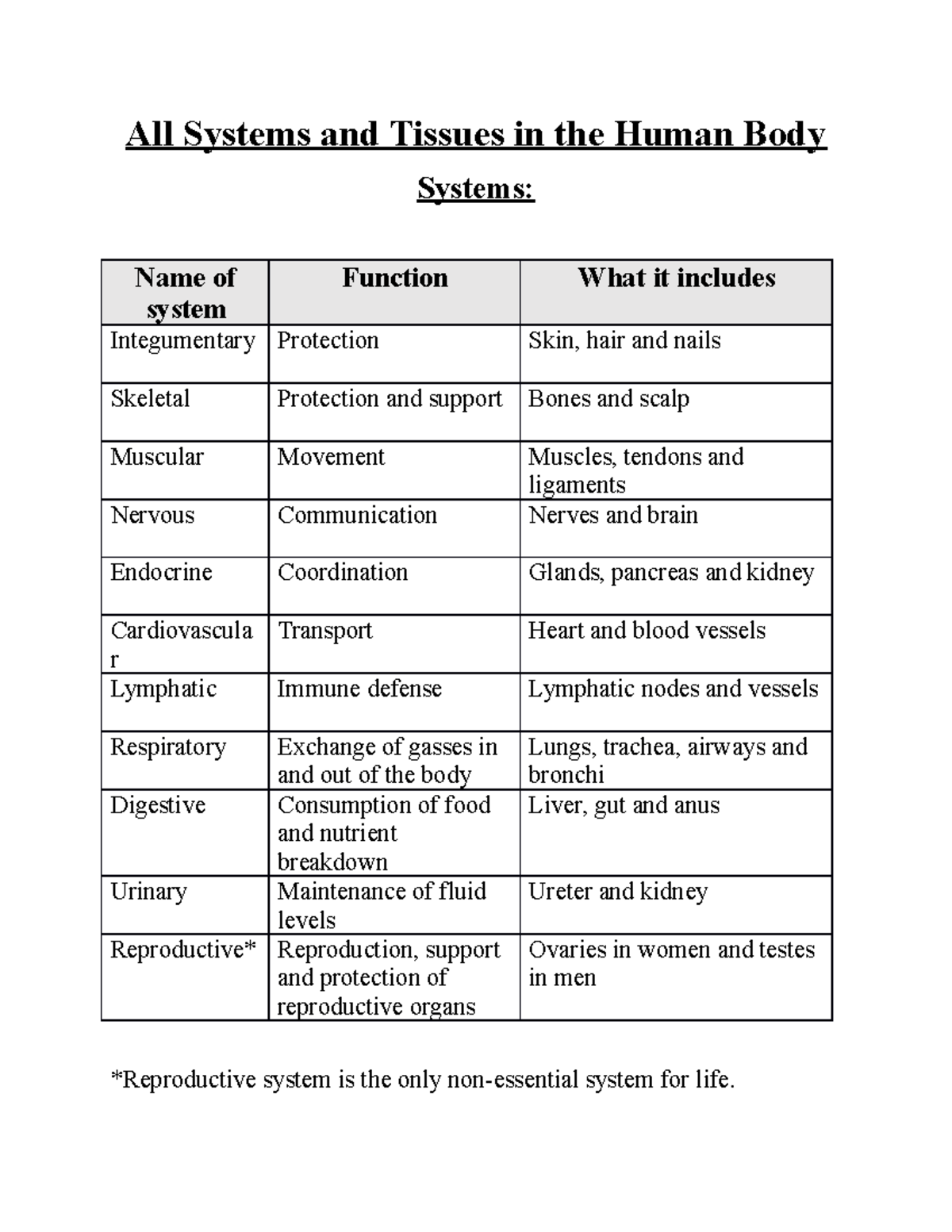 All Systems and Tissues in the Human Body - All Systems and Tissues in ...