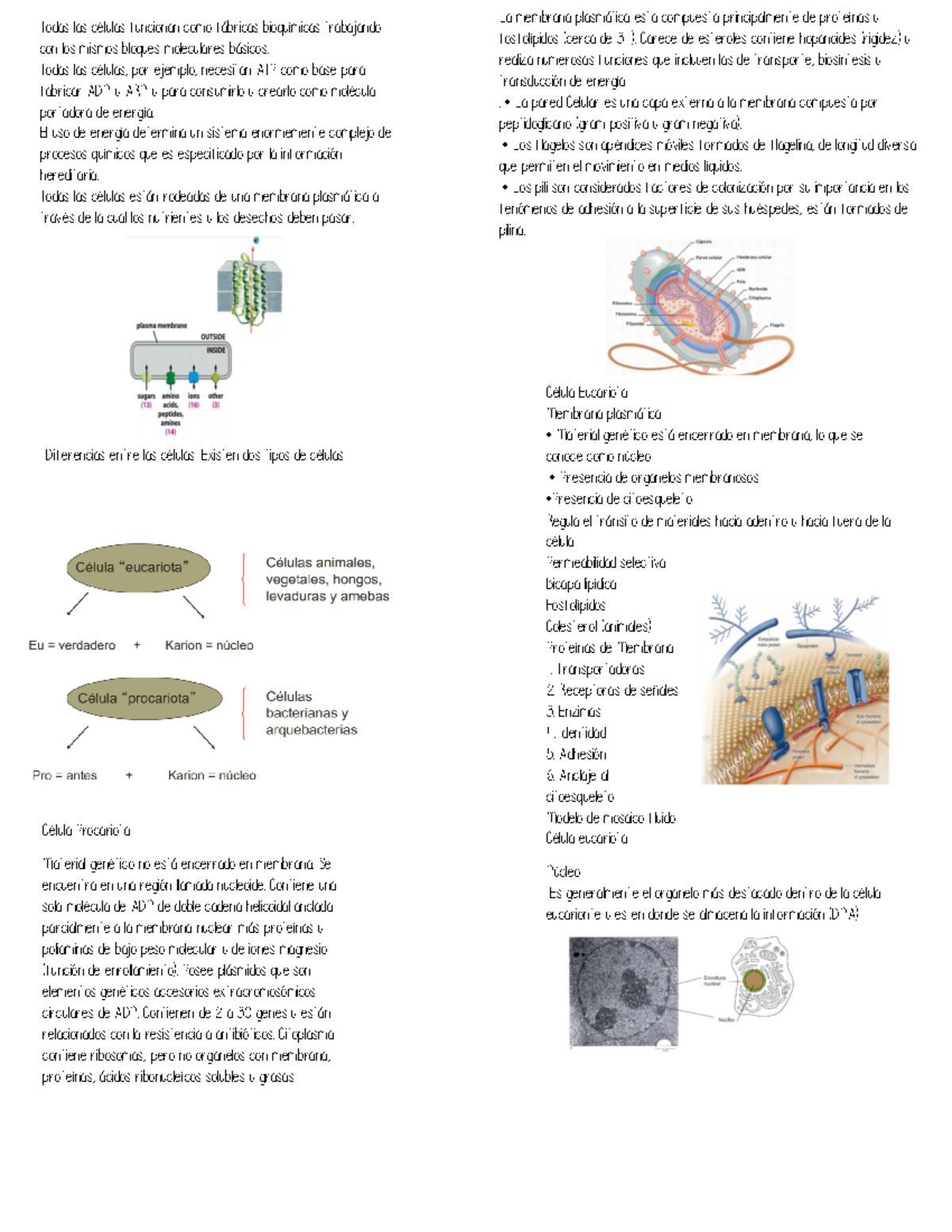 Resumenes Biología Celular Primeras Unidades - Biologia Celular ...