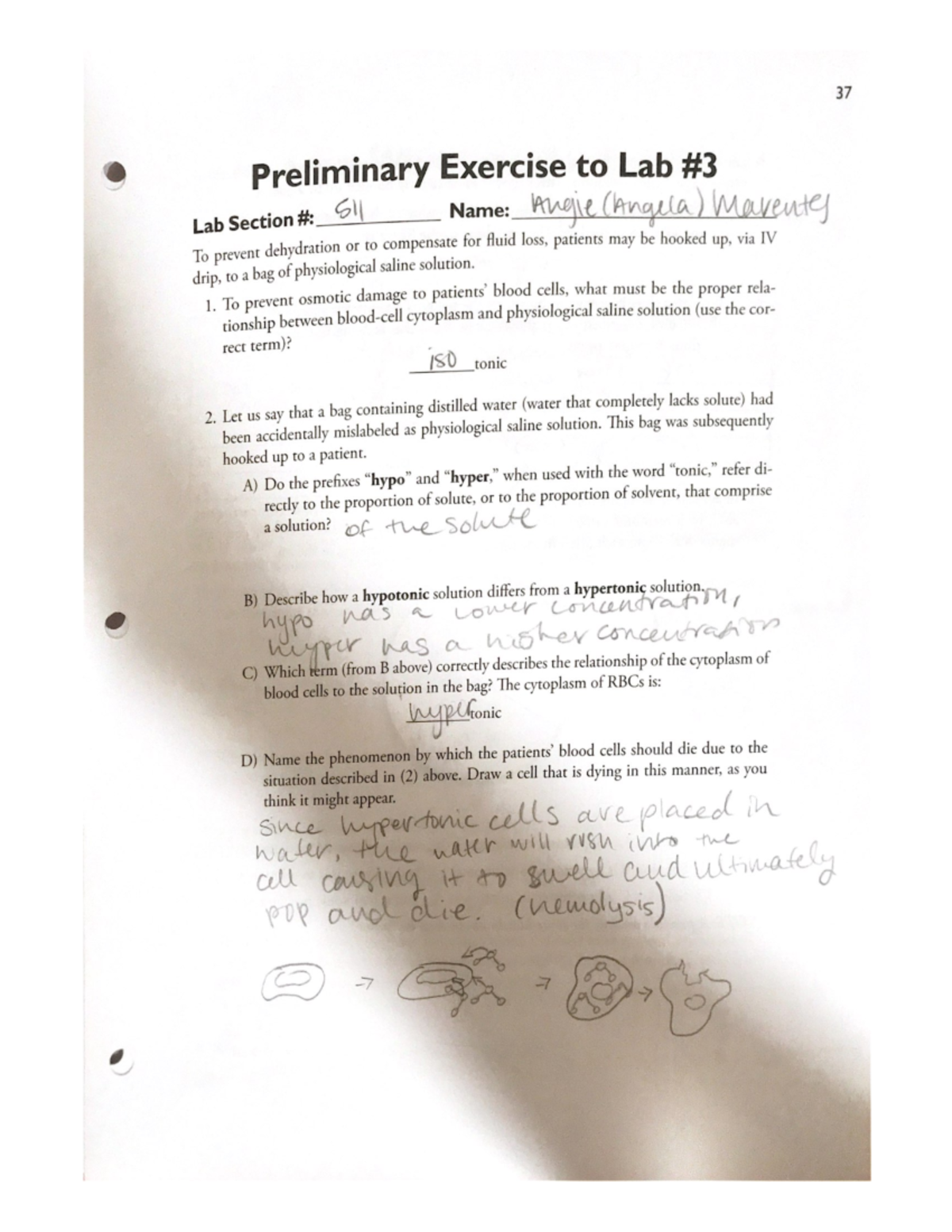 Preliminary Exercise to Lab 3 1. To prevent osmotic damage to blood