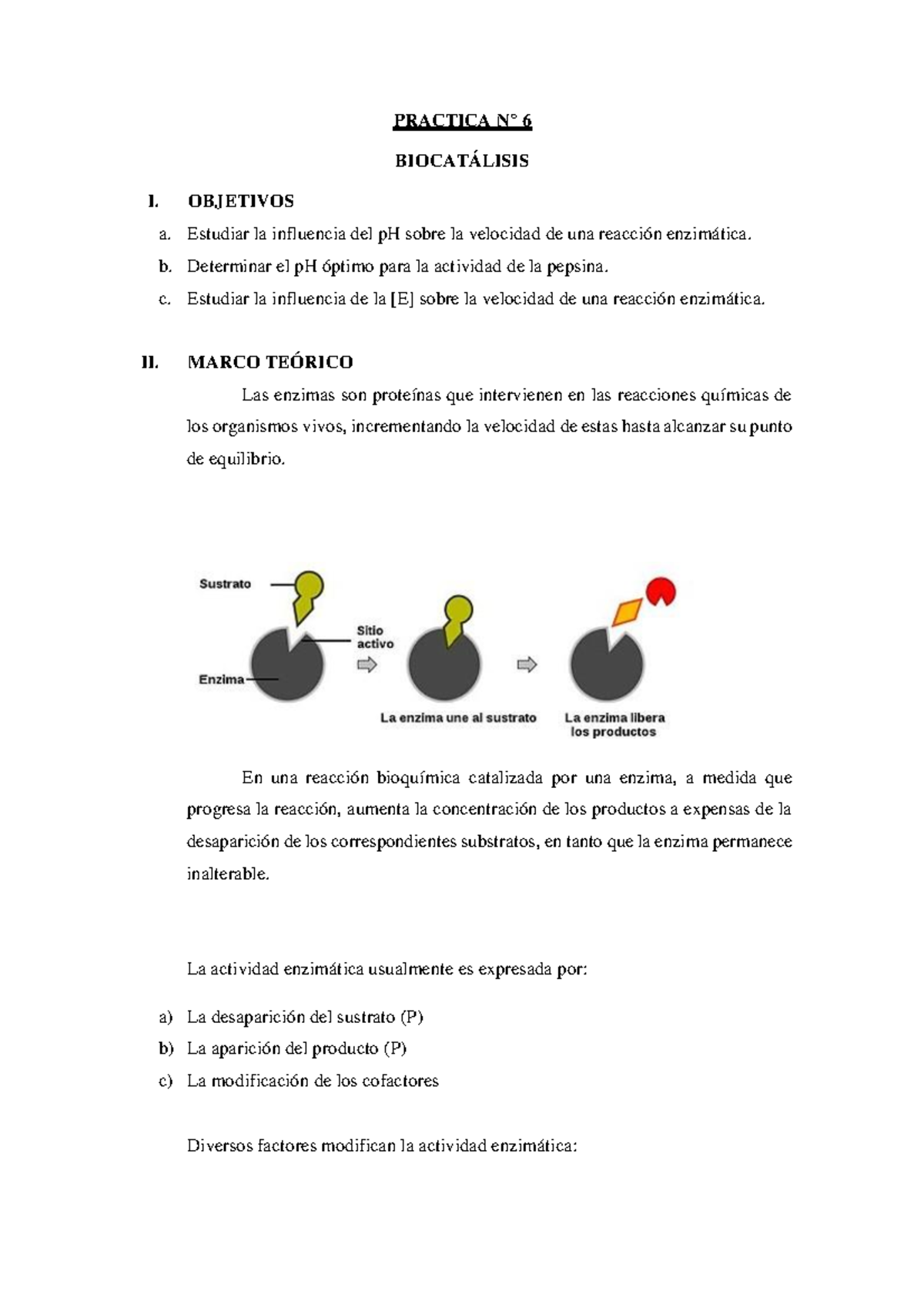 Biocatalisis - Practica 6 - PRACTICA N° 6 BIOCATÁLISIS I. OBJETIVOS a ...