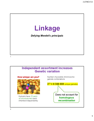 Inheritance - Practice - Inheritance - Practice Question 2 Use the ...