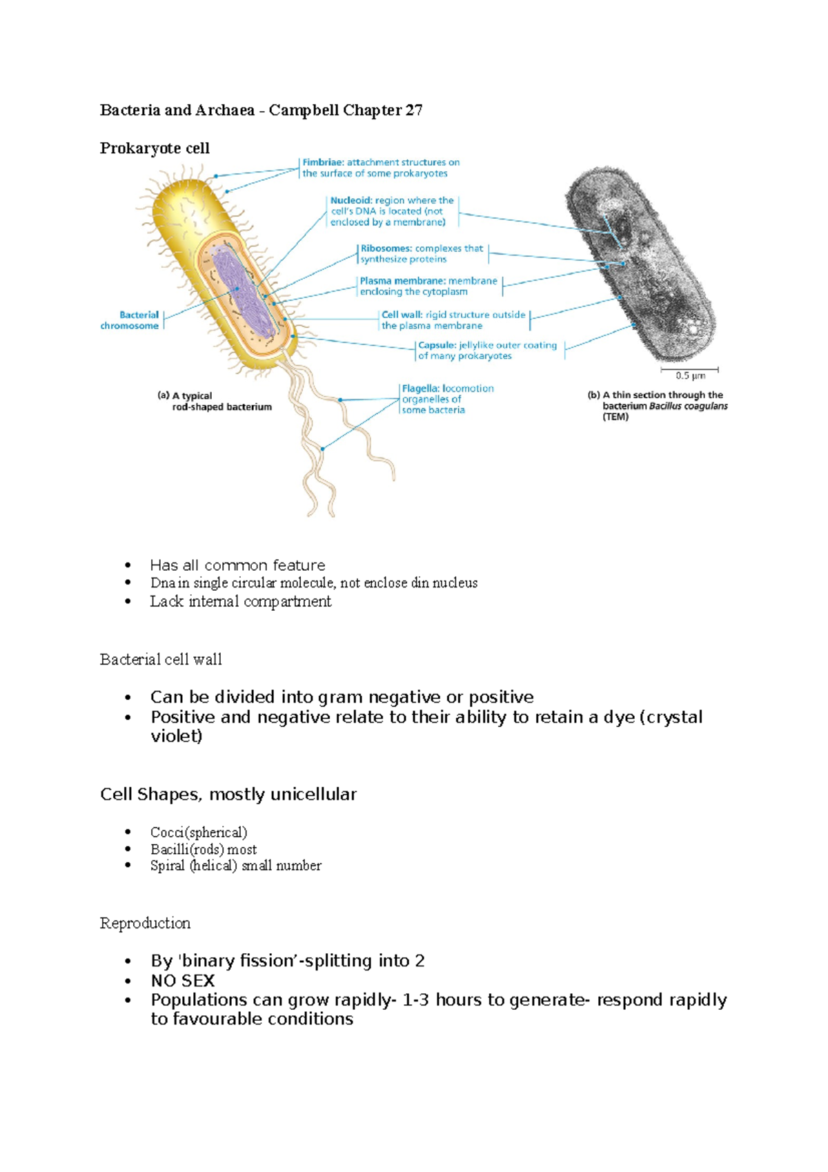 Bacteria and Archaea - Lecture notes 2 - Bacteria and Archaea ...