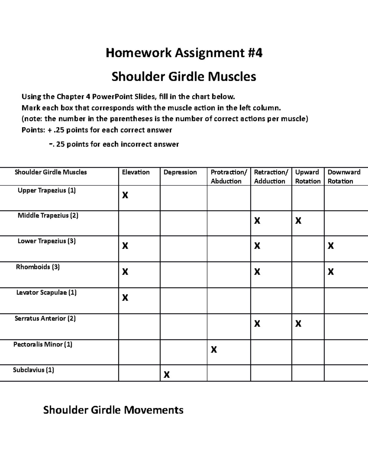 Homework Shoulder Girdle Muscles - Homework Assignment #4 Shoulder ...