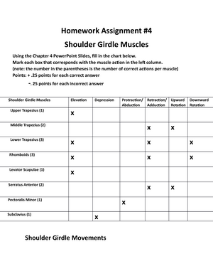 Muscle Action Chart