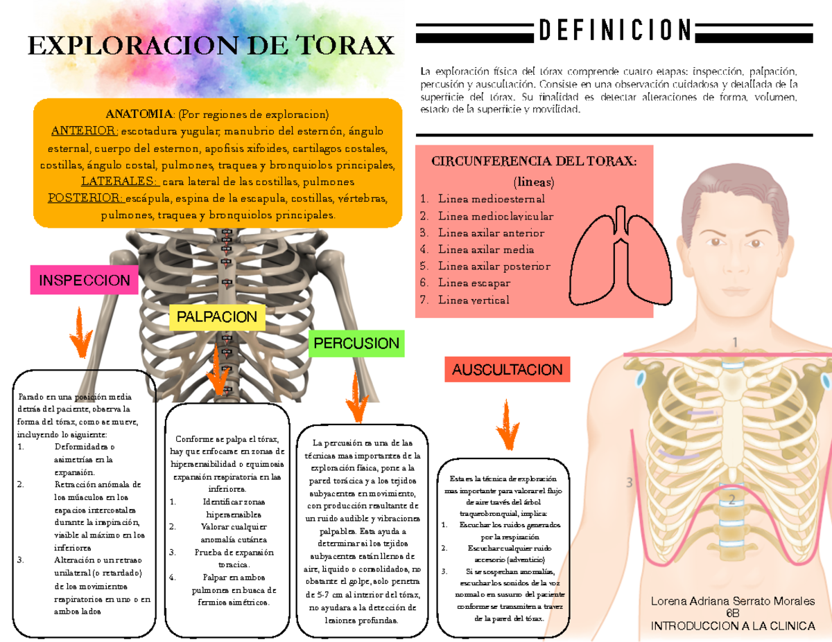 Exploracion Torax Exploraci n T rax EXPLORACION DE TORAX La 