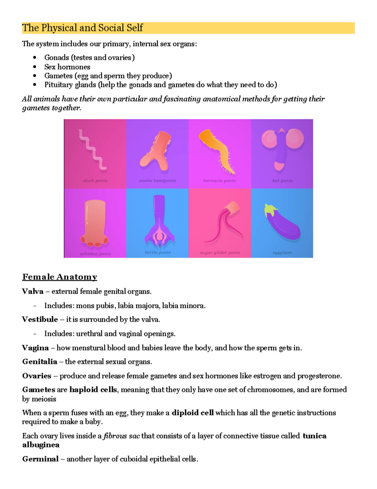 Uts physical and sexual - The Physical and Social Self The system ...
