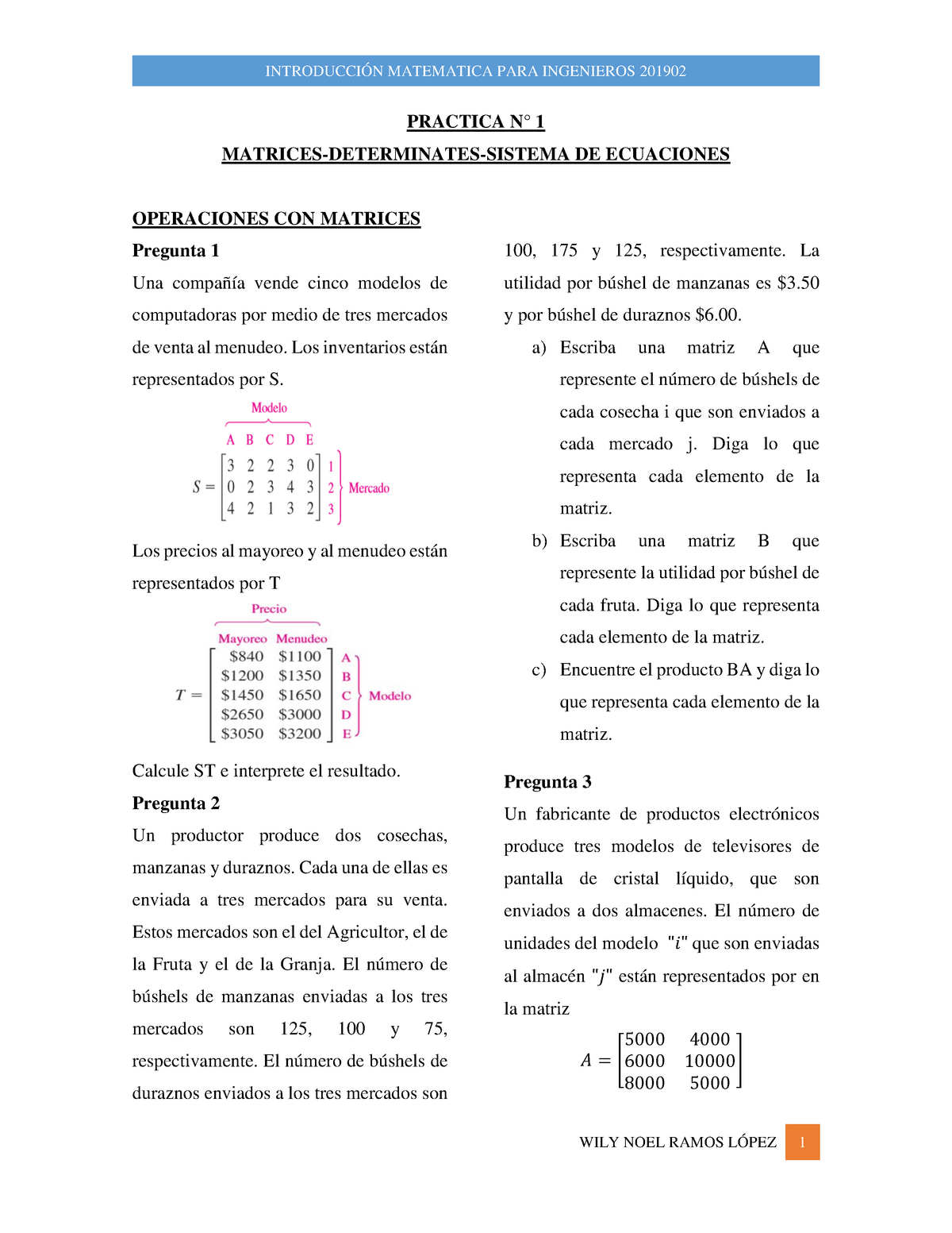 Primera PD DE INT.MAT.ING.2009 02 - PRACTICA N° 1 MATRICES-DETERMINATES ...