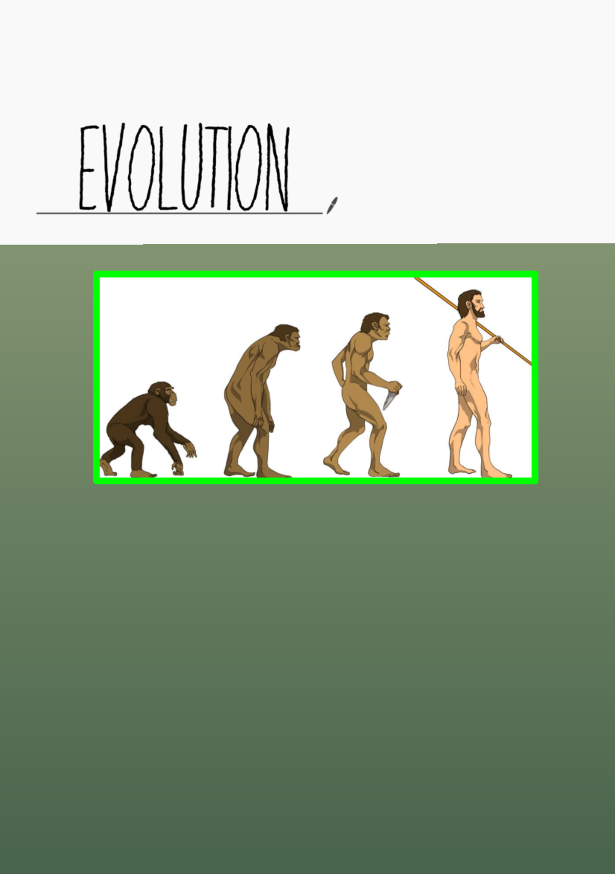 Abitur Evolution Zusammenfassung 🌸 Evolutionstheorien Synthetische