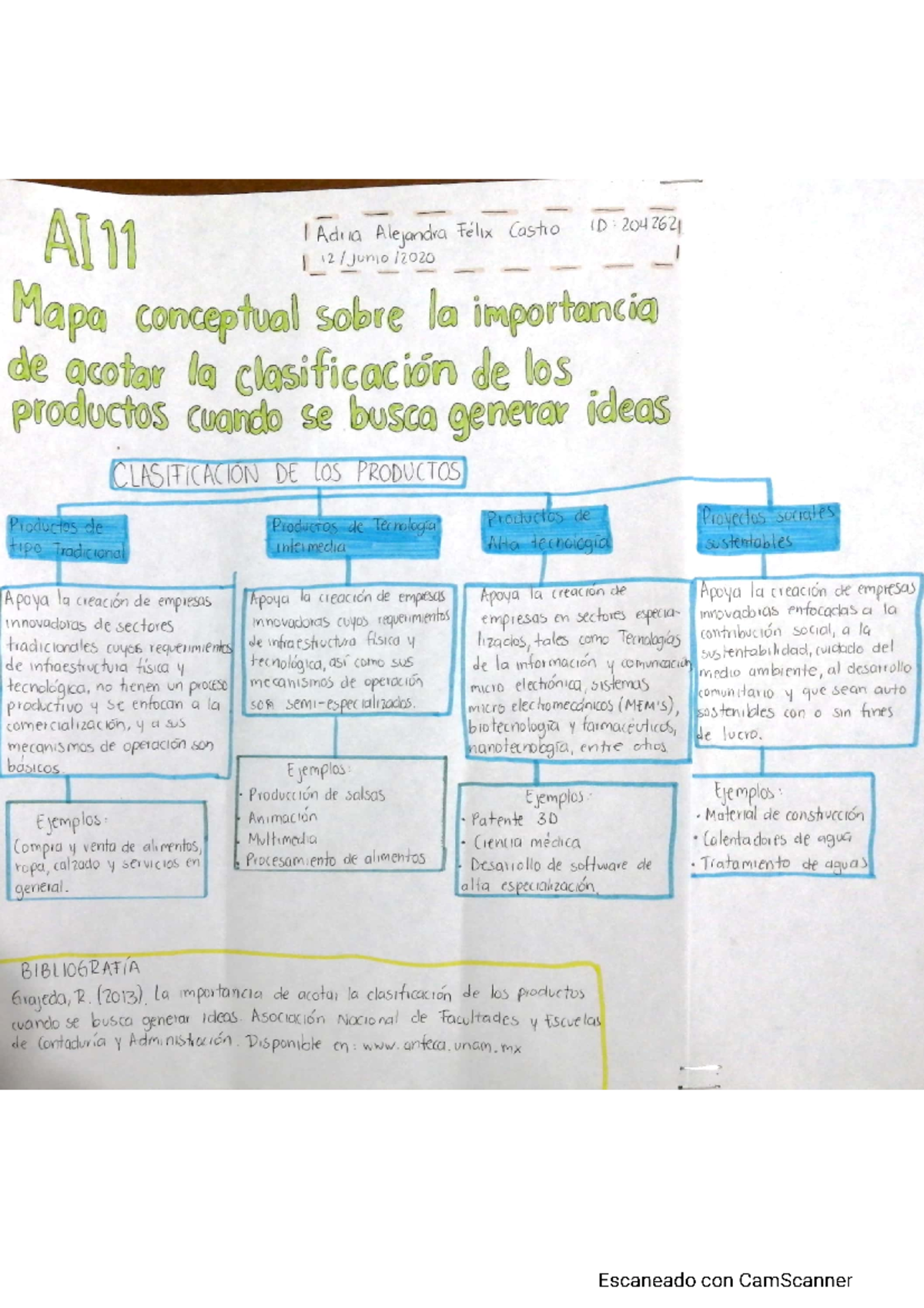 AI11 Mapa conceptual sobre la importancia de acotar la clasificación de ...