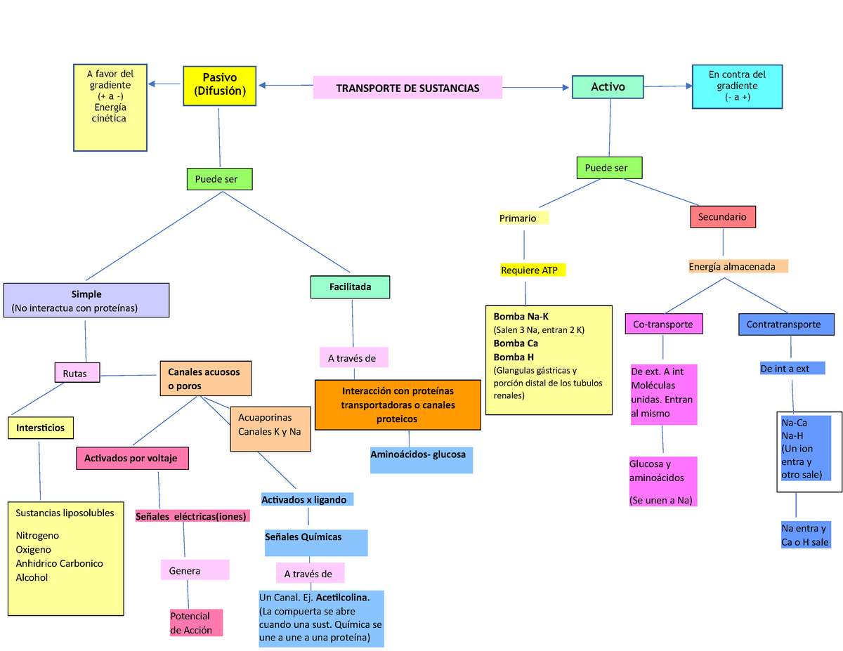Mapa Conceptual - Transporte de Sustancias - A favor del gradiente a Pasivo  En contra del gradiente - Studocu