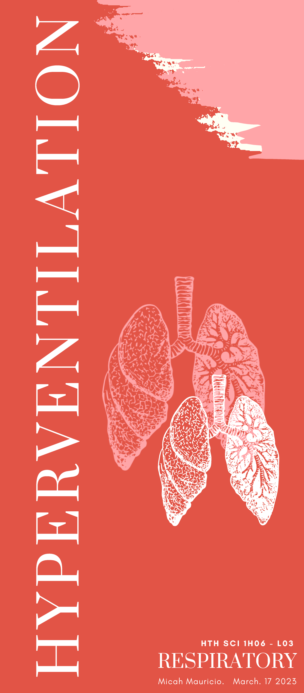 11.  Human Anatomy: Test Your Knowledge Of External Regions Now! - 831nfci