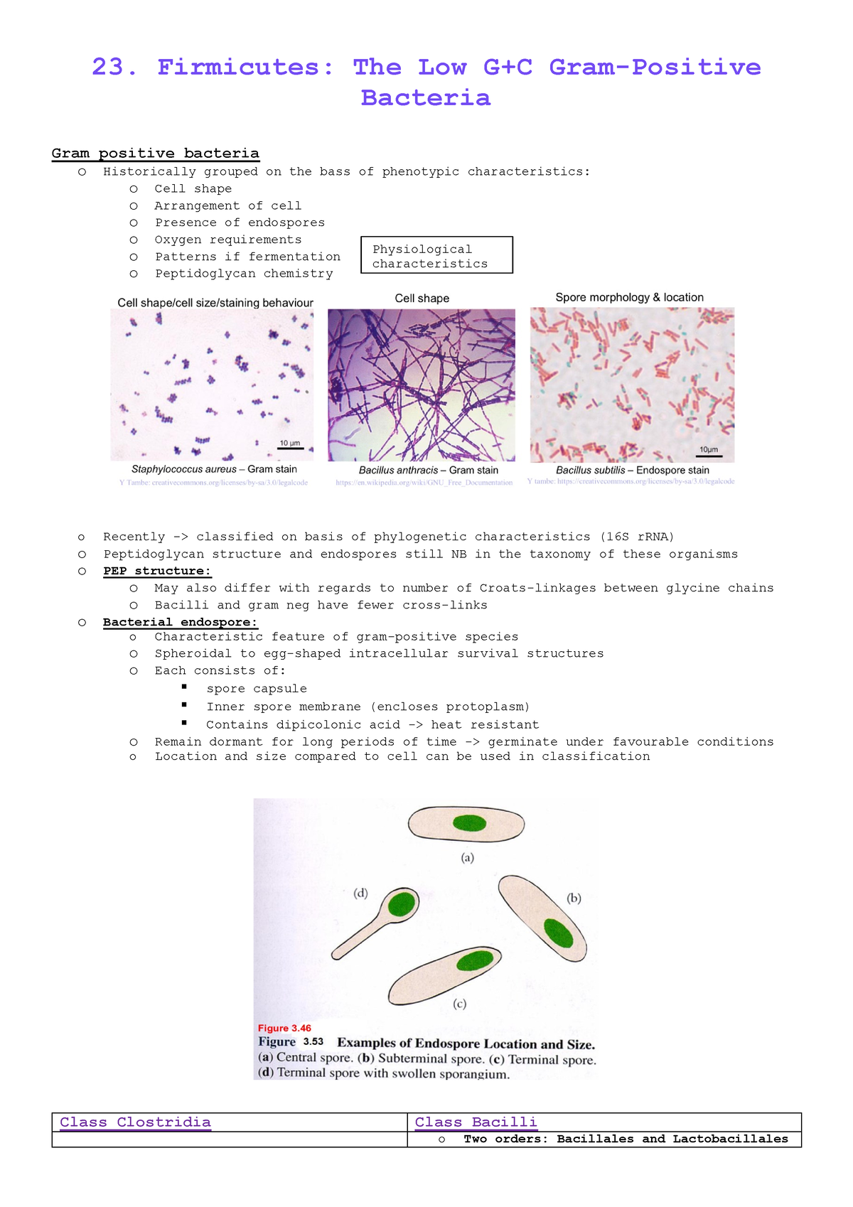 Micros 3 - MICROBIOLOGY 244 WEEK 3 NOTES - 23. Firmicutes: The Low G+C ...