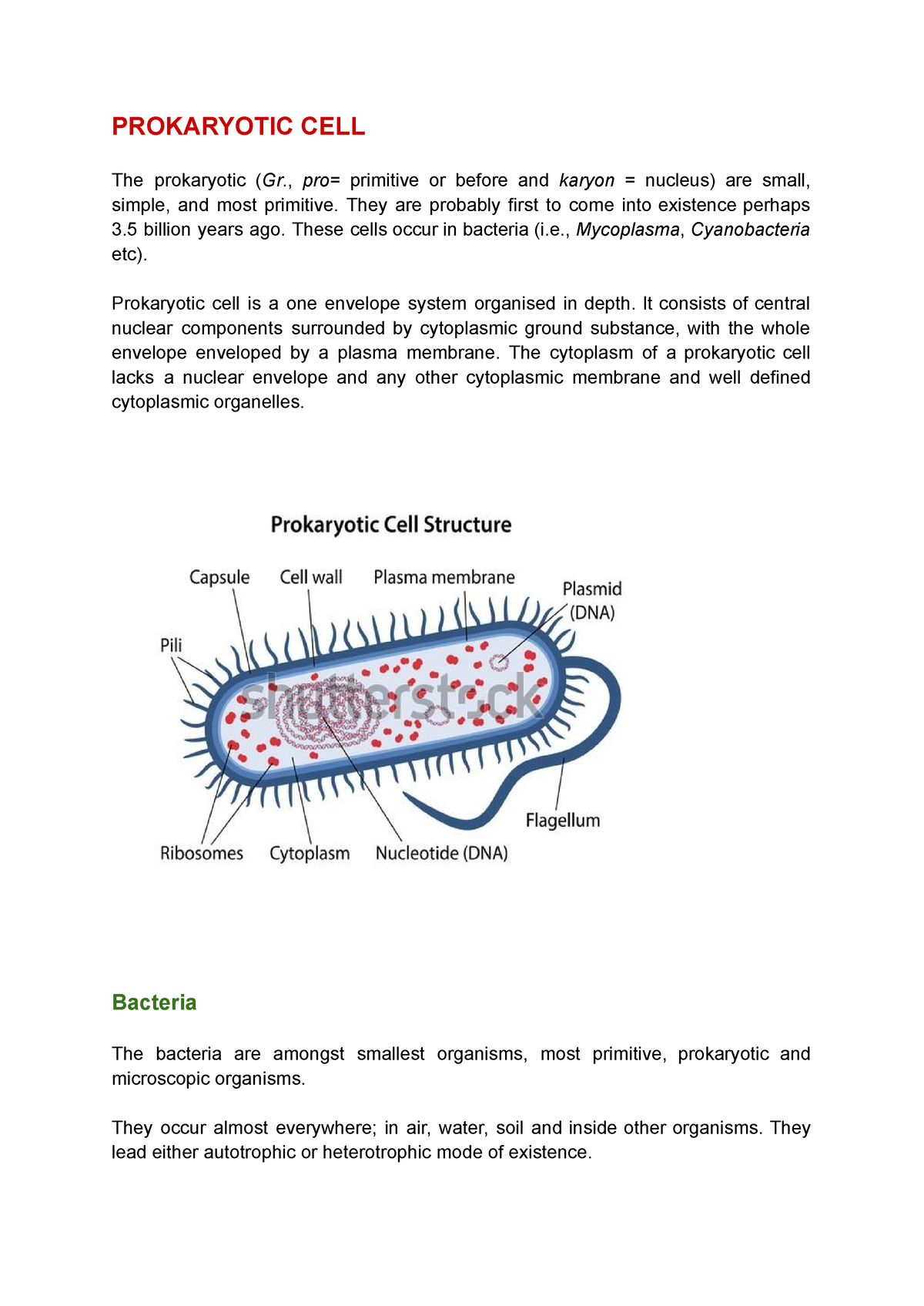 Prokaryotic Cell - Important Notes - PROKARYOTIC CELL The Prokaryotic ...