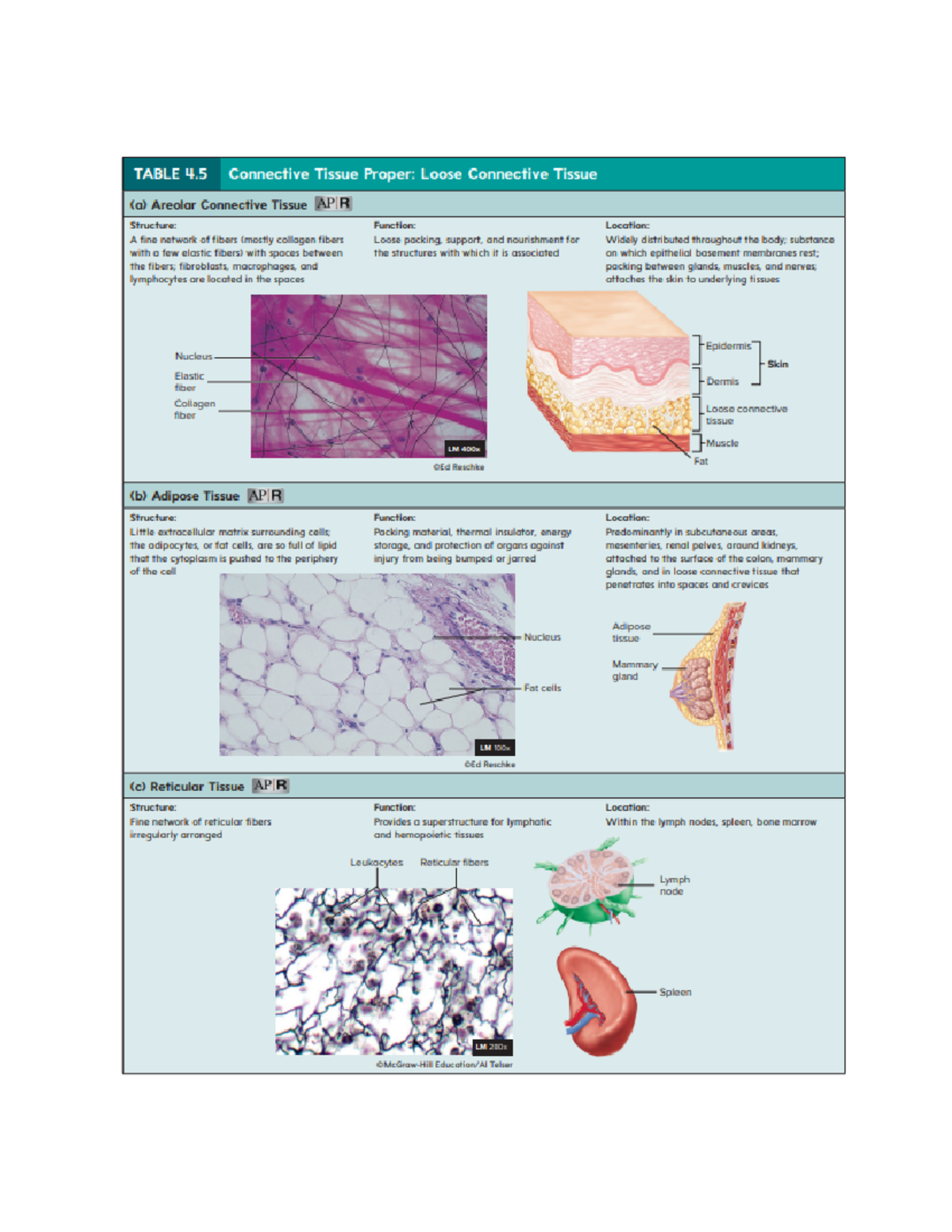 Nicholas Fund, Inc. visual data 7
