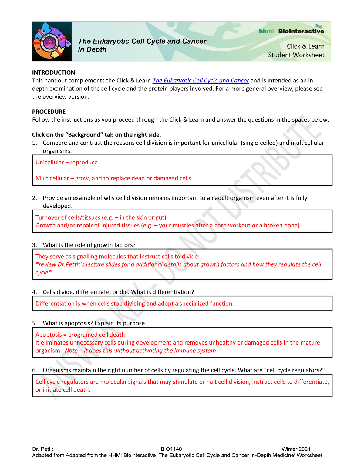 Biointeractive Student Worksheet Answers The Eukaryotic Cell Cycle And Cancer