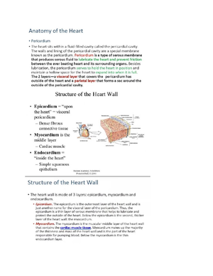 Lecture 11 AND 12 - AnaPhy - LECTURE 11: BLOOD ANATOMY AND PHYSIOLOGY ...