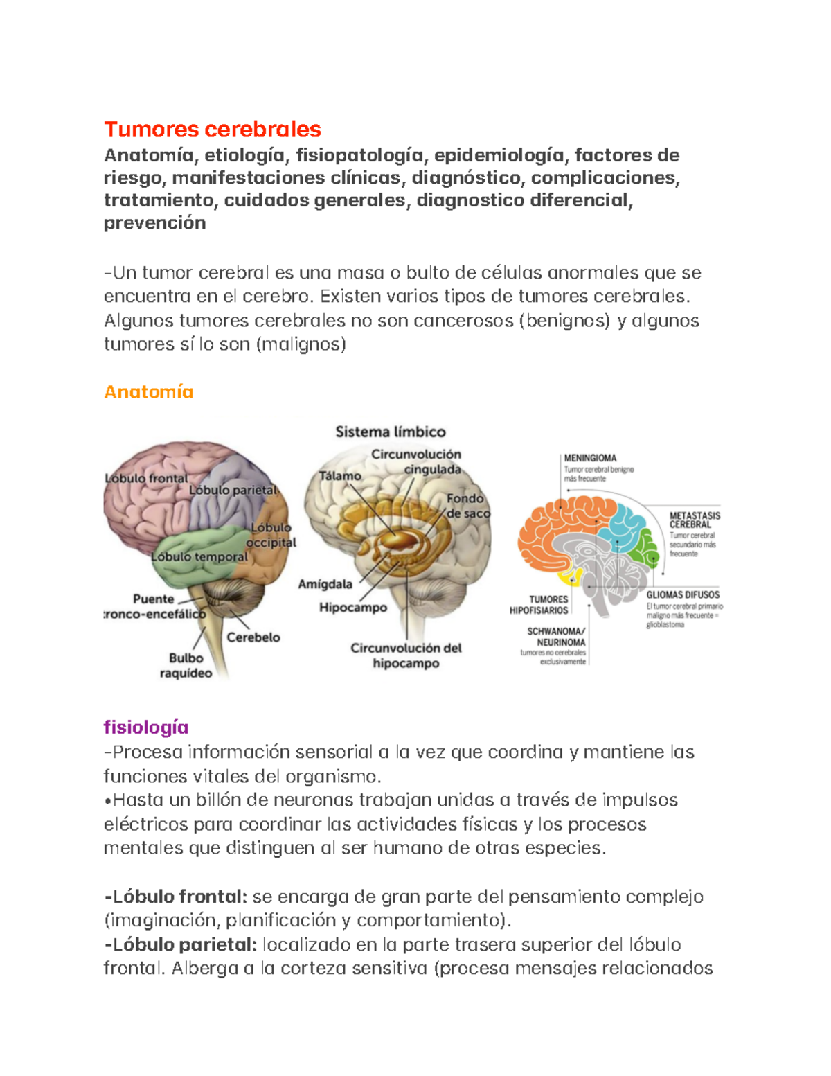 Tumores Cerebrales - Fisiopatologia De La Enfermedad - Tumores Cerebr ...