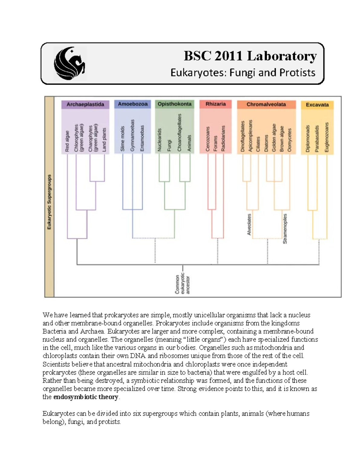 Fungi and Protists - 0 We have learned that prokaryotes are simple ...