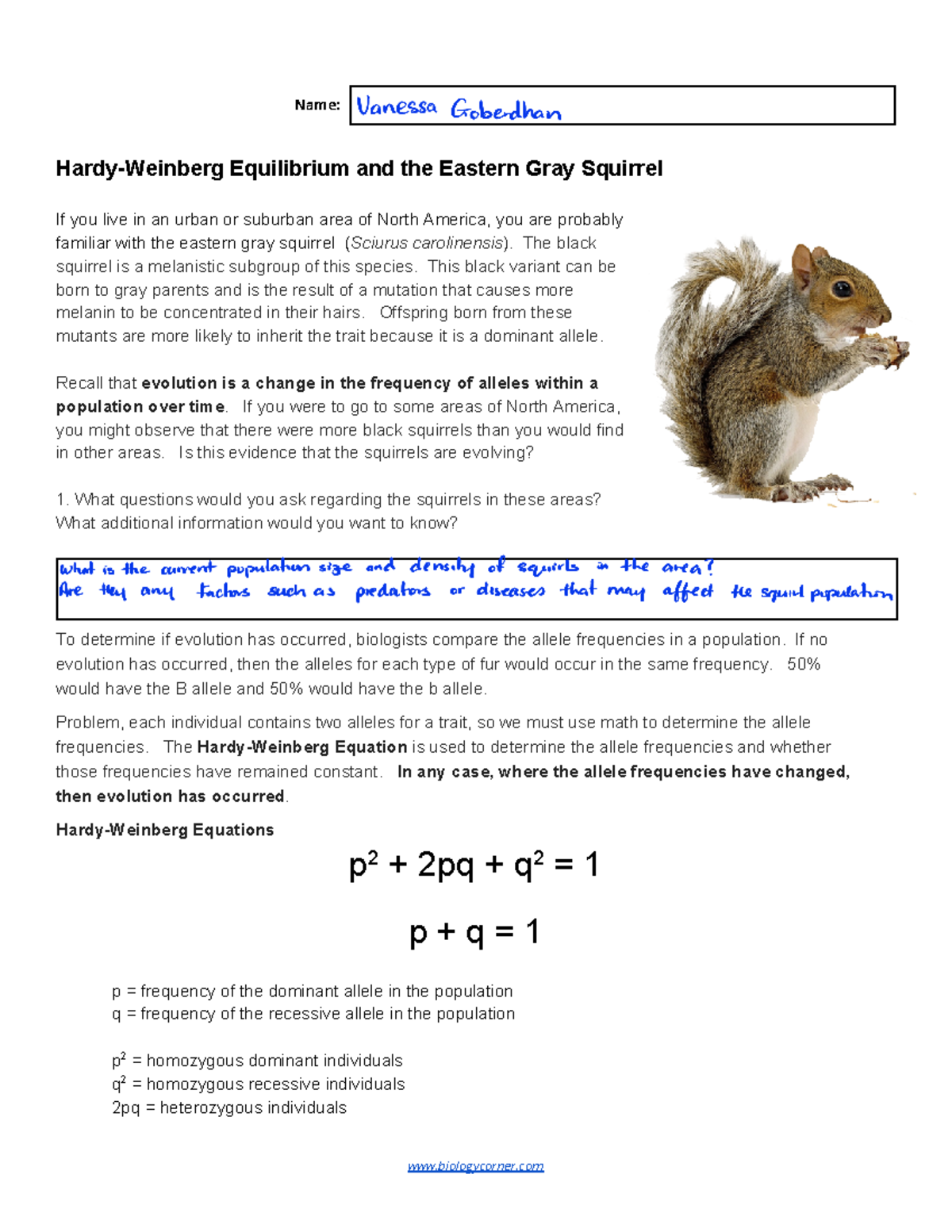 Squirrel Practice Problems Card Simulation - Name: Hardy-Weinberg