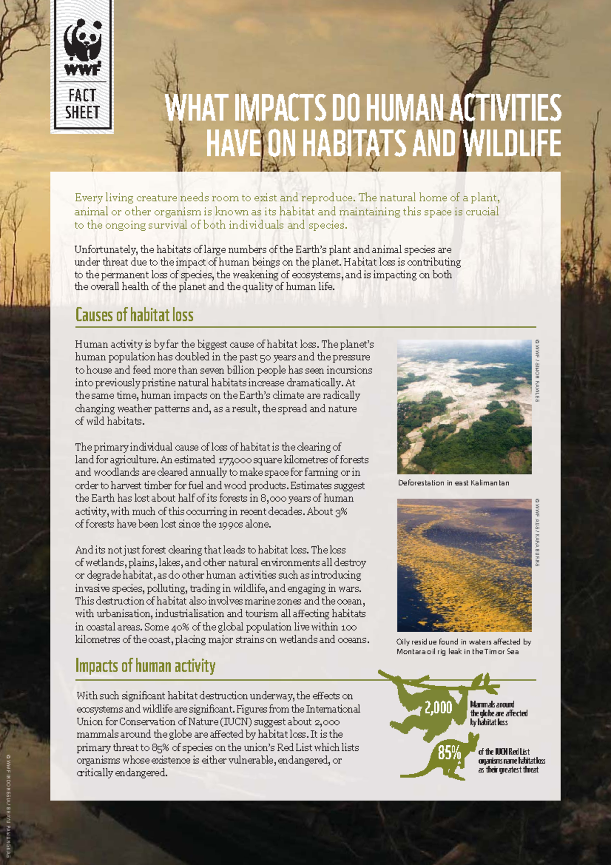 Pub fact sheet what impacts do human activities have on habitats and ...