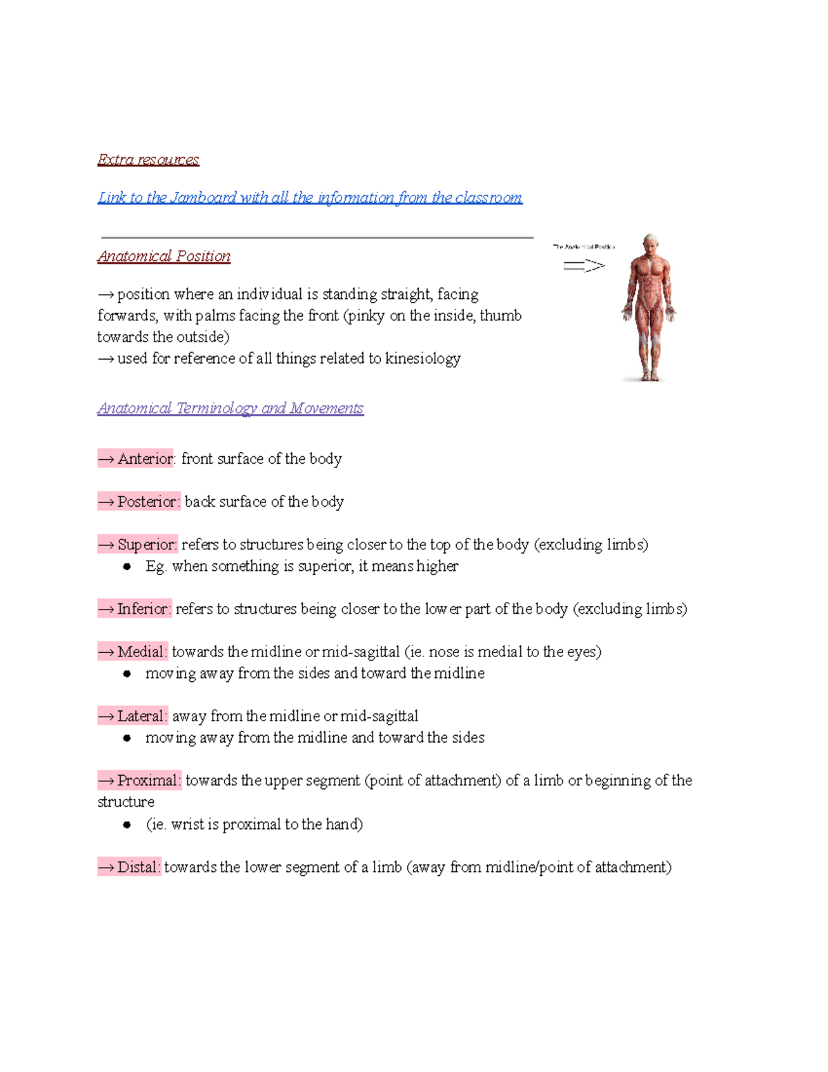 Kin exam study sheet - Extra resources Link to the Jamboard with all ...