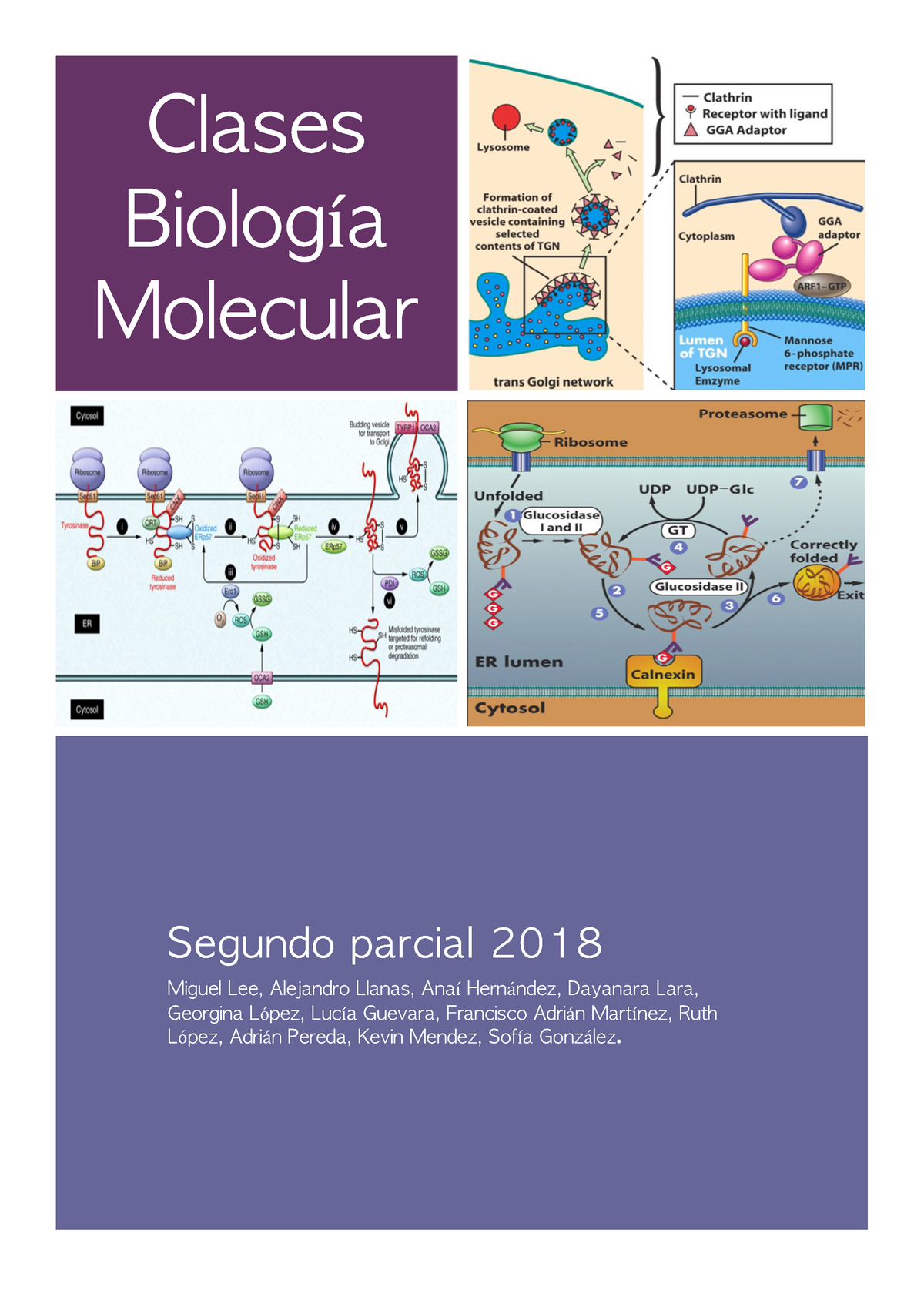 2 Parcial Resumen - Clases Biologı́a Molecular Segundo Parcial 2018 ...